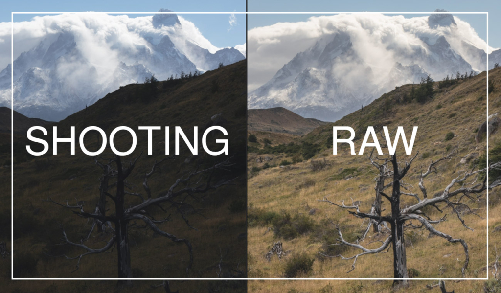 shooting raw